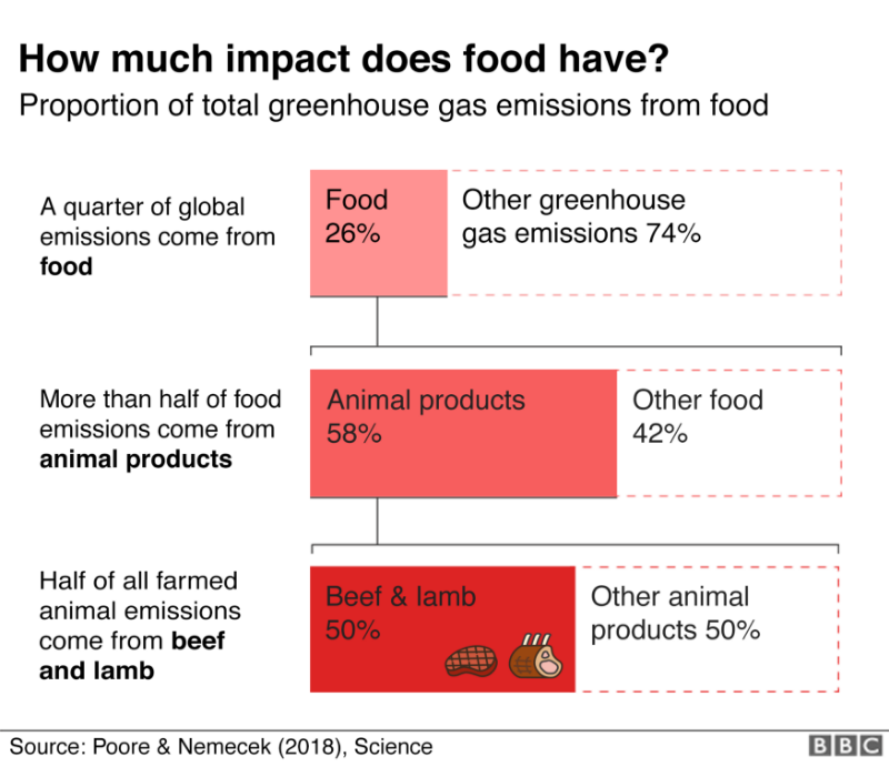Image: BBC Climate change food calculator: What’s your diet’s carbon footprint?